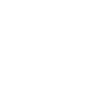 Your Coaching Journey