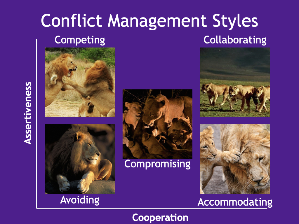 conflict styles illustration